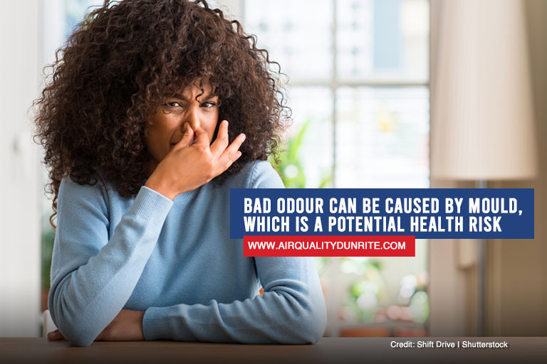 Bad Odour Can Be Caused By Mould Which Is A Potential Health Risk