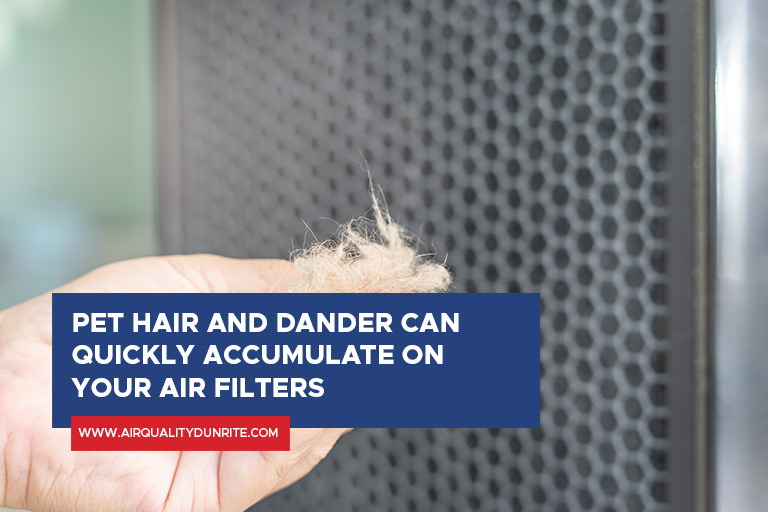 Pet hair and dander can quickly accumulate on your air filters