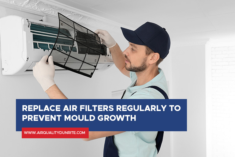 Replace air filters regularly to prevent mould growth