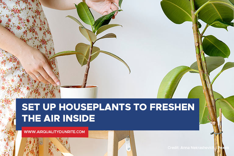 Set up houseplants to freshen the air inside